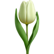 Sage green tulip sticker