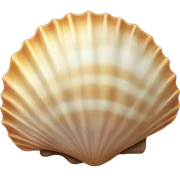 seashell summer  sticker