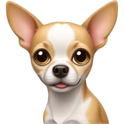 Chihuahua sticker