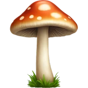 realistic mushroom  sticker
