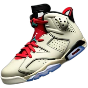 Jordan 6 sticker