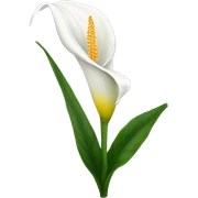 Peace lilies flower sticker