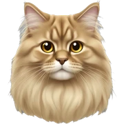 British longhair golden shades sticker