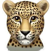 leopard now sticker