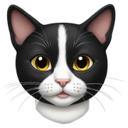 tuxedo cat sticker