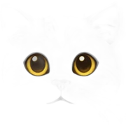 Cat cat sticker