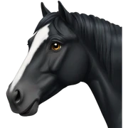Black horse sticker