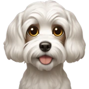 Malteser dog  sticker