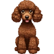 Brown poodle sticker