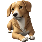 dog enjoying nature day sticker