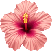 Hibiscus  sticker
