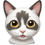 cute cat sticker
