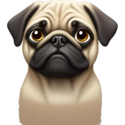 Pug sticker