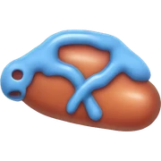 Pancreas sticker