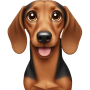 dachshund  sticker