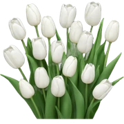 white tulips sticker