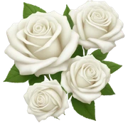 white roses sticker