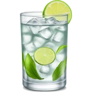 Gin tonic sticker