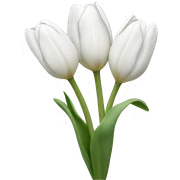 White tulips sticker