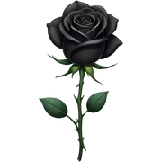 Black rose sticker