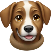 dog with uggs sticker