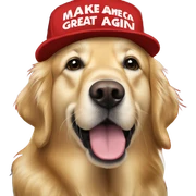 Golden retriever wearing a red hat with the text “make America great again” on it sticker