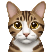 Brown and white tabby sticker
