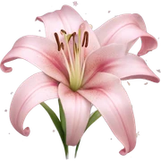 Lily "A pastel pink lily with long, elegant petals glowing faintly, its center surrounded by tiny shimmering stars and light trails." sticker