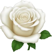 White rose sticker