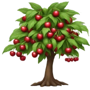 Cherry fruit tree sticker