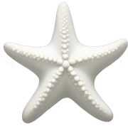 White starfish  sticker