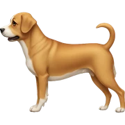Dog on dog on dog on dog sticker