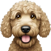 Black goldendoodle sticker