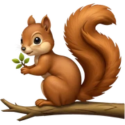 a squirrel sticker