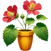 Hyperrealistic, detailed, colorful, isolated Abutilon in full bloom, 4k hd professional quailty, 300 dpi, 2800x2800 pixels, no emoji icons, no emoji faces, still life sticker