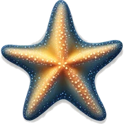 starfish sticker