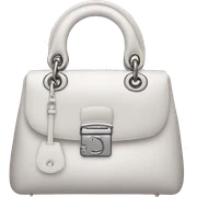 Dior bag sticker