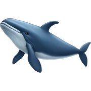 Whale sticker