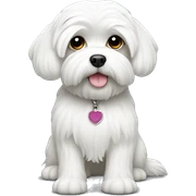 White Maltese sticker