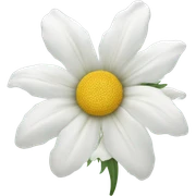 a white flower sticker