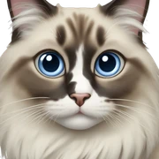 Ragdoll cat sticker