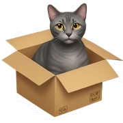 Catsnewkingin a box sticker