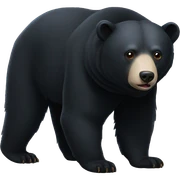 moon bear sticker