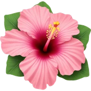Hibiscus  sticker