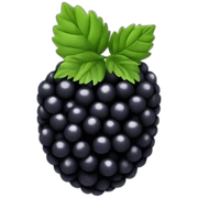 BlackBerry sticker