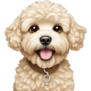 cream sand maltipoo sticker