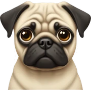 pug sticker