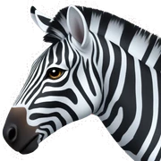 zebra sticker