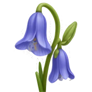 Bluebell sticker