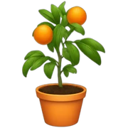 an orange plant sticker